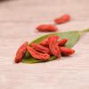 Green King Grade A Goji Berries