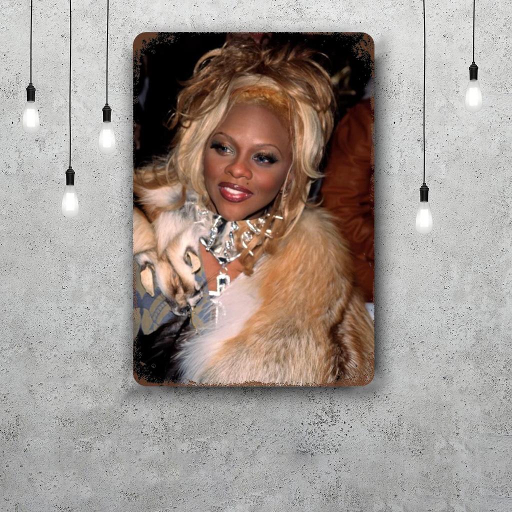 Lil Kim Decor Vintage Metal Signs Tin Signs Captain Poster Decor for Bar Pub Club Man Cave Wall Decoration