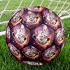 Galaxy Cat Dog Indoor Soccer Ball Size 5 Colorful All Ages Machine Stitched PVC Competition Ready Durable High-Bounce
