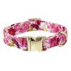 Unique Style Paws Dog Collar Metal Buckle Collar Gift for Small Medium Large Boys Girls Dogs