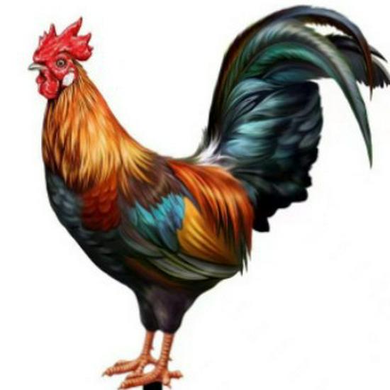 3D Rooster Acrylic Mirror Yard Art: Creative Outdoor Garden Decoration