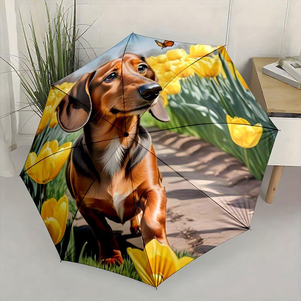 Folding umbrella Dachshund walking among yellow tulips. Creative portable folding umbrella for Christmas and other holiday