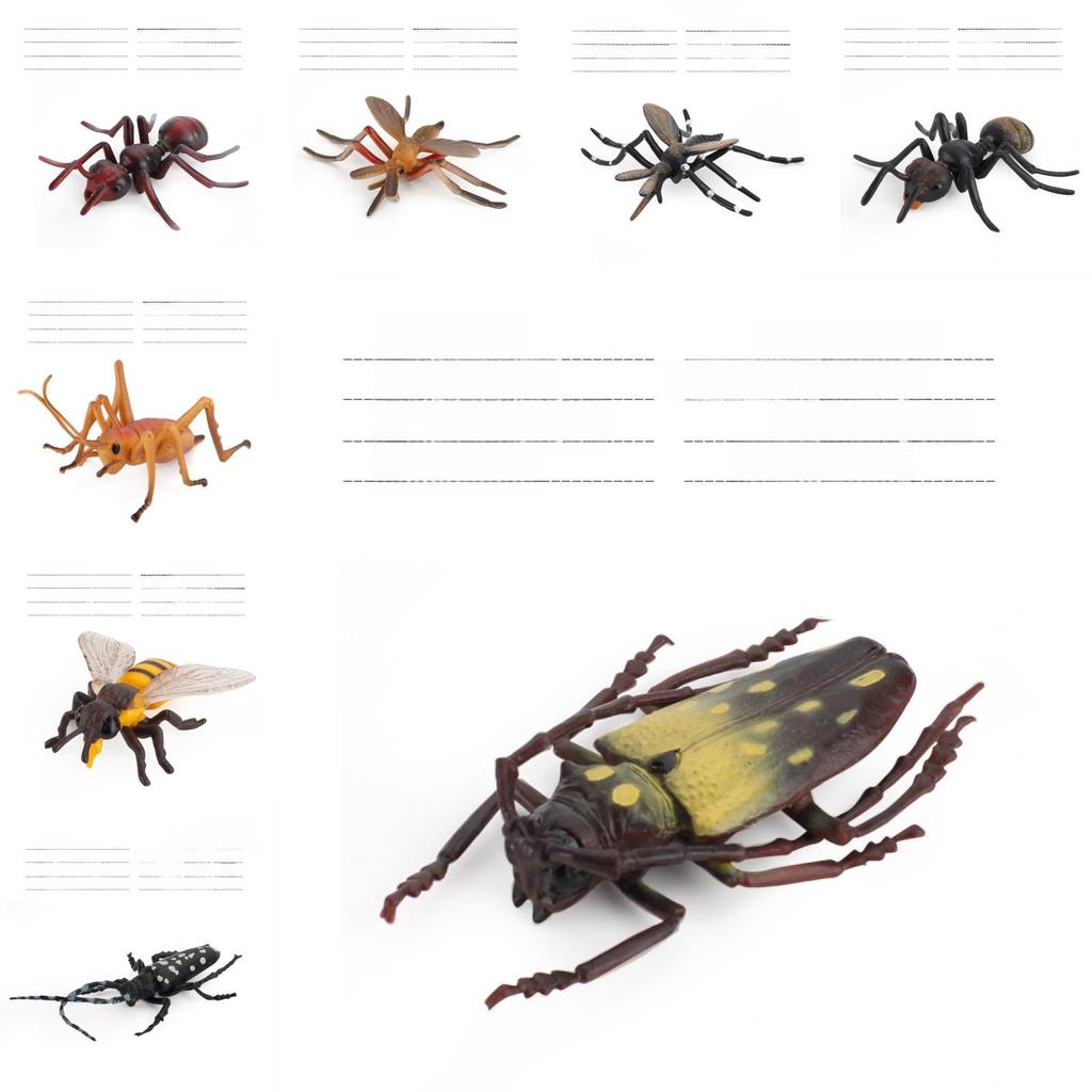 Insect Collectors Set With Pvc Wasps Ants Crickets Realistic Animal Models For Science Projects And Gifts