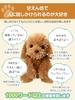 Voice-activated plush toy for adults [Talking Toy Poodle] Easy to operate even for seniors. Perfect gift. Phone support available.