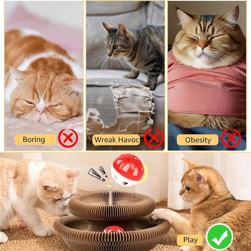 Magic Organ Cat Scratching Board Interactive Scratcher Cat Toy Cat Accordion Toy Cat Grinding Claw Scratching Board Pet Supplies