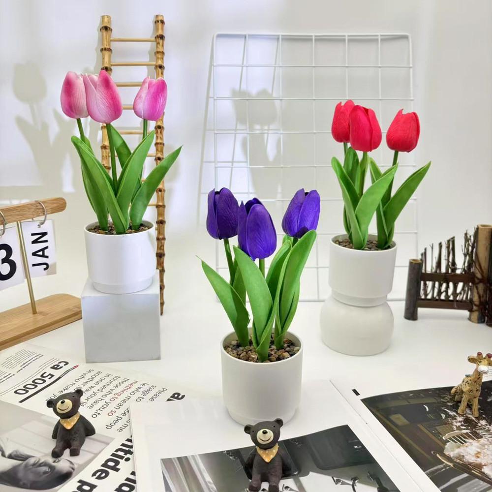 Tulpenblume Grüne Pflanze Flusssteine Bonsai Für Fotografie Und Bürodeko