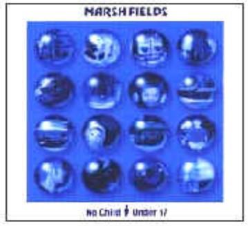 

CD MARSH FIELDS - No Child Under 17 POOL0001 Pool Side Recor 1998 Japan Rock Used