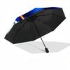1PC Sonic the Hedgehog, Water Tunnel Automatic Folding Umbrella - Compact 8-Rib Design, Durable Plastic & Iron, Daily Use F010640