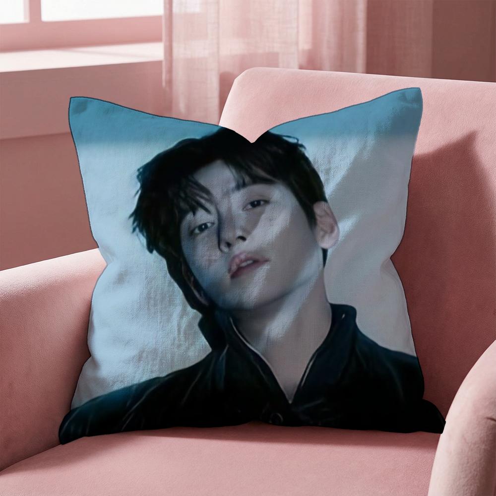 J-Ji C-Chang Wook Cushion Cover Multi-Scene Pillow Cover for Home & Car - Reversible, Soft & Durable for Daily Use