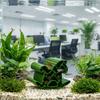 3D Printed Shrimp Hideout Simulation Aquarium Ornament Creative Fish Hollow Shelter  Office