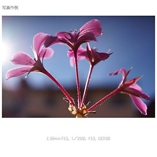 Sony Einzelfokusobjektiv E 30 mm F3.5 Makro für Sony E-Mount APS-C nur SEL30M35