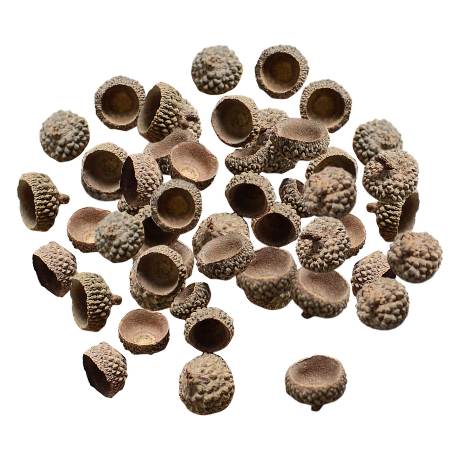 

100Pcs Natural Acorns Real Acorns Caps Acorns Bulk Home DIY Kitchen Vase Filler Photo Props for Crafting Wedding Easter Decor