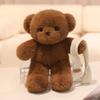 30cm Simulation New Scarf Bear Doll Stuffed Plush Toy Cartoon Anime Pillow for Children's Birthday Gift Cute and Fun Doll