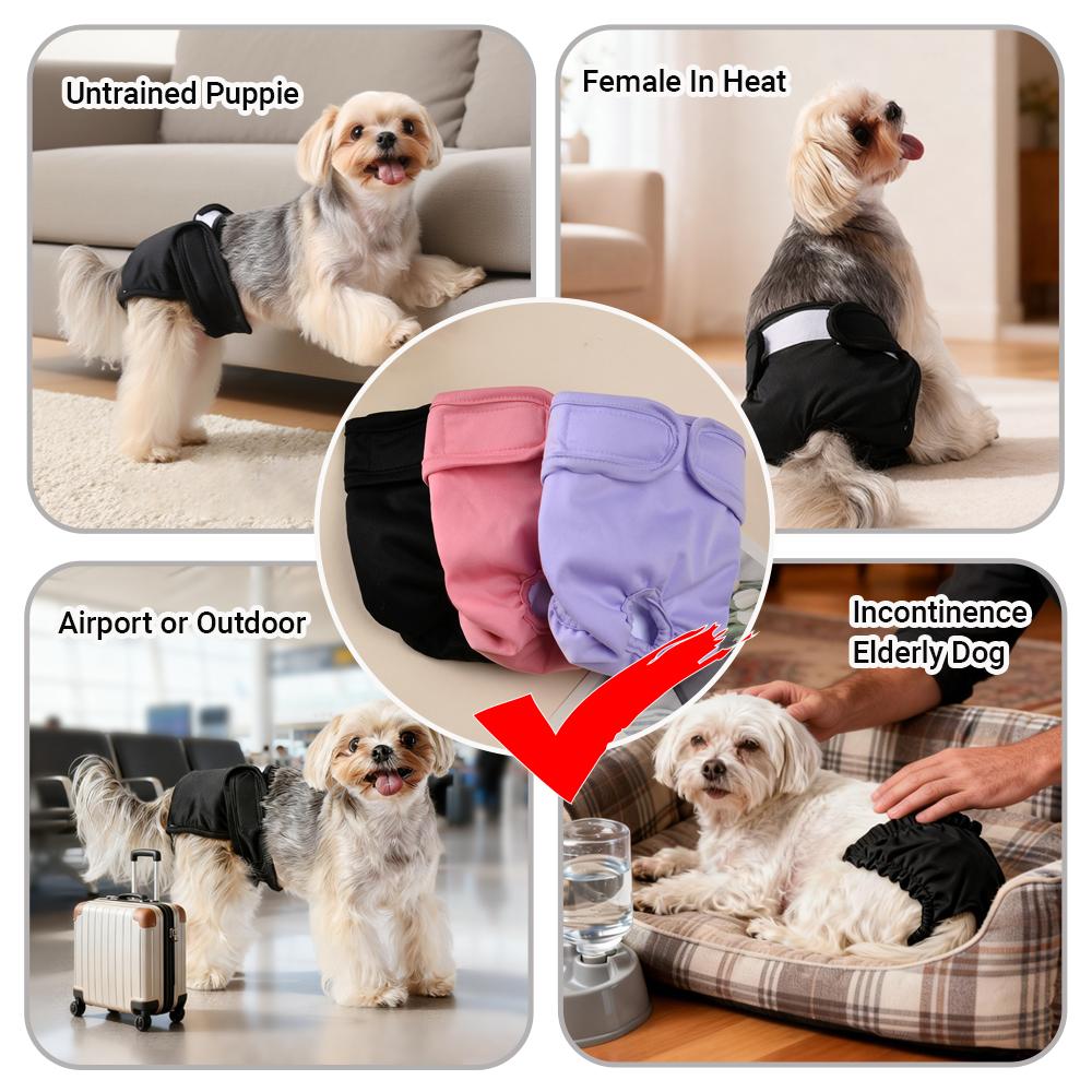 3PCS Washable Female Dog Diapers for Small Dogs Reusable Pet Puppy Physiological Pant Yorkie Menstruation Short Sanitary Panties