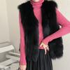 Fur Vest Women's Autumn and Winter Imitation Fox Fur Vest Jacket Fashionable Warm Outer Wear Fur Vest
