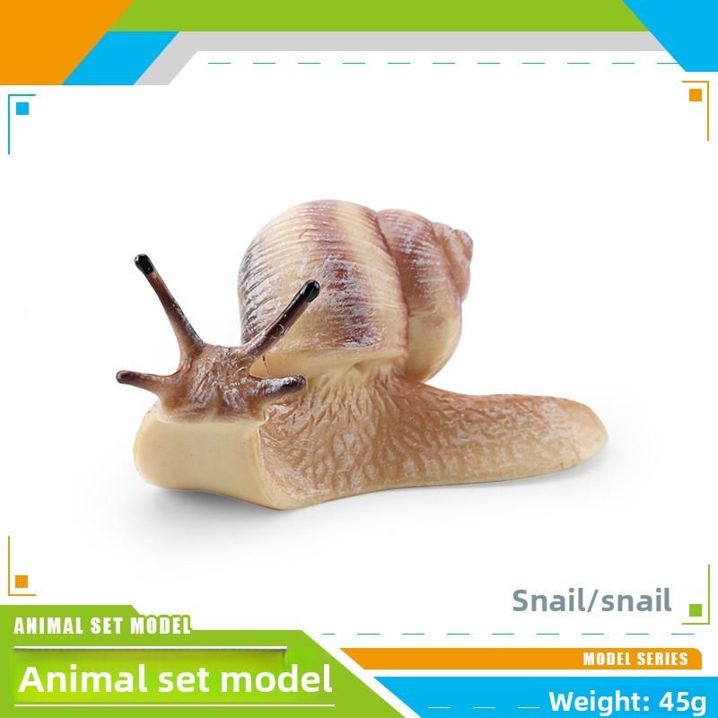 Kinder PVC Hamster Schnecke Gleitbeutler Tier Modell Display Für Bildung Und Sammlung
