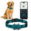 Perros – Collares y correas