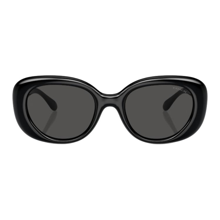Coach 8391U Full Frame Design Injection Molded Oval Sunglasses Women Sunglasses Black 0HC8391U-500287