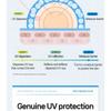 Isntree - Hyaluronic Acid Natural Sun Cream