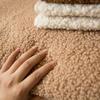 Soft Plush Sofa Cover for Living Room Decoration Furniture Universal Corner Towel Nonslip Soft Couch Cushion Thick Solid Winter