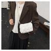 Korean Style Cloud Bubble Crossbody Bag: Niche Pleated Commute Shoulder Bag for Women