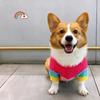 Corgi Dog Clothes Pet Rainbow Sweater Small And Medium Dogs Bichon Shiba Inu Fadou Warm Winter