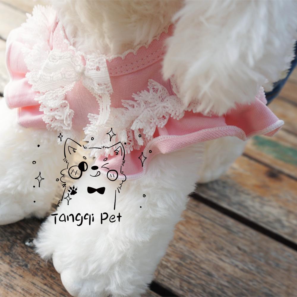 Rochie clasică de modă Tangqi din denim cu bretele în gradient pentru pisici și câini