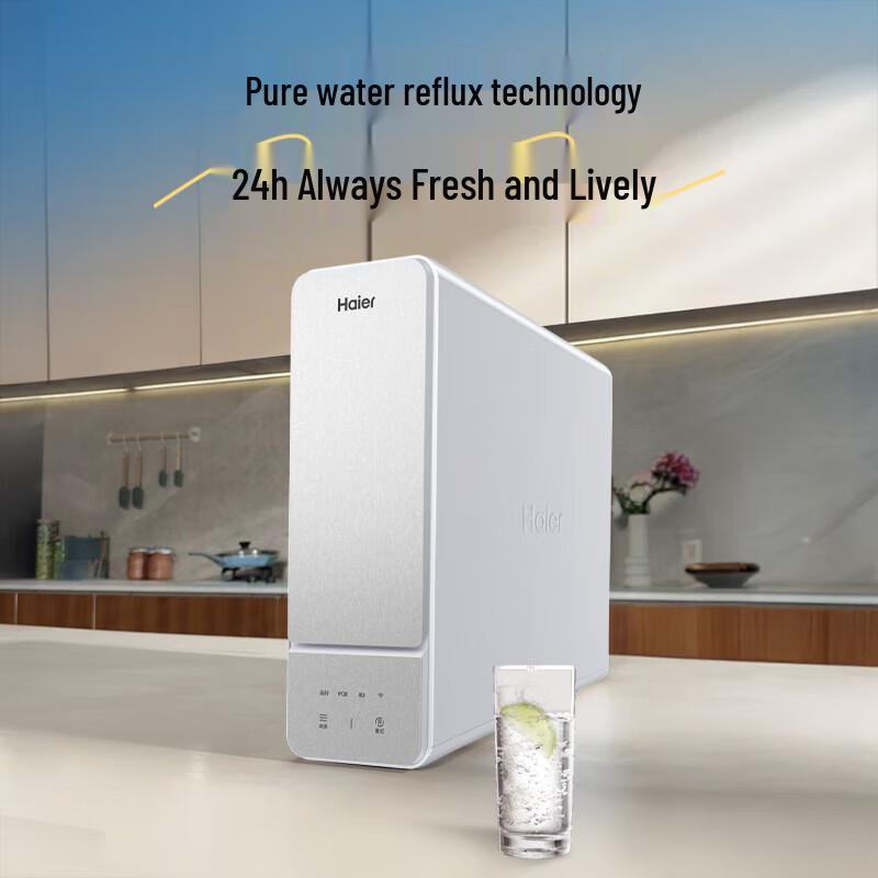 Haier 1000G Under-Sink RO Water Purifier CN plug (adapter included)