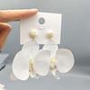 European-American Cross-Border Earrings: Women's Fashion 3D Butterfly Orchid Flower Head Jewelry, Exaggerated High-End Style