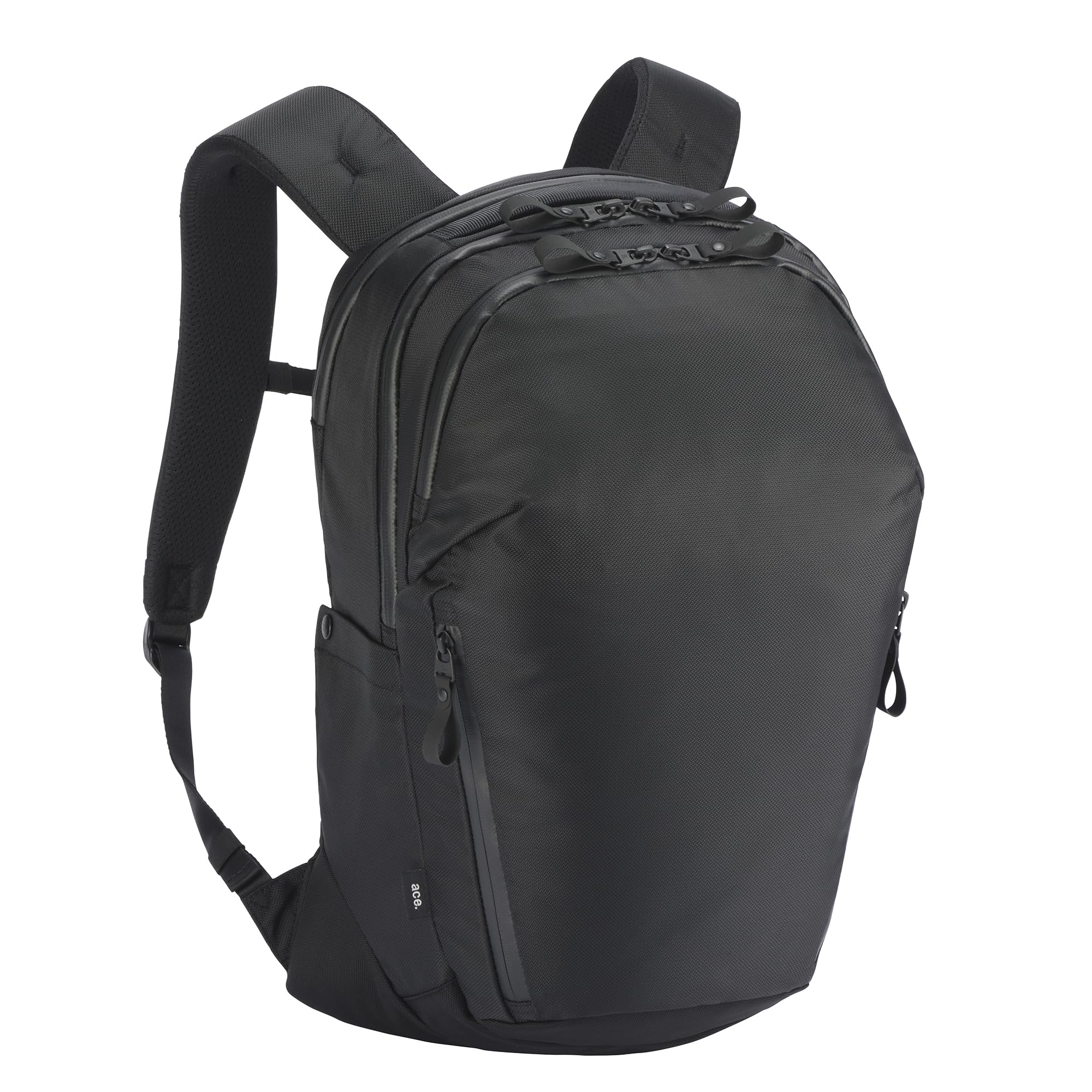 

Бизнес-рюкзак Ace Gene, совместимый с форматом A4, водостойкий, вмещает 14-дюймовый ноутбук, спинка из воздушной сетки, Rugmaster No. 67811, Мужской, Черный,