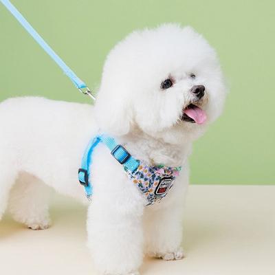 Hundegeschirr, Brustgeschirr, reißfeste Leine, kleiner Hund, blau, 2 Sets