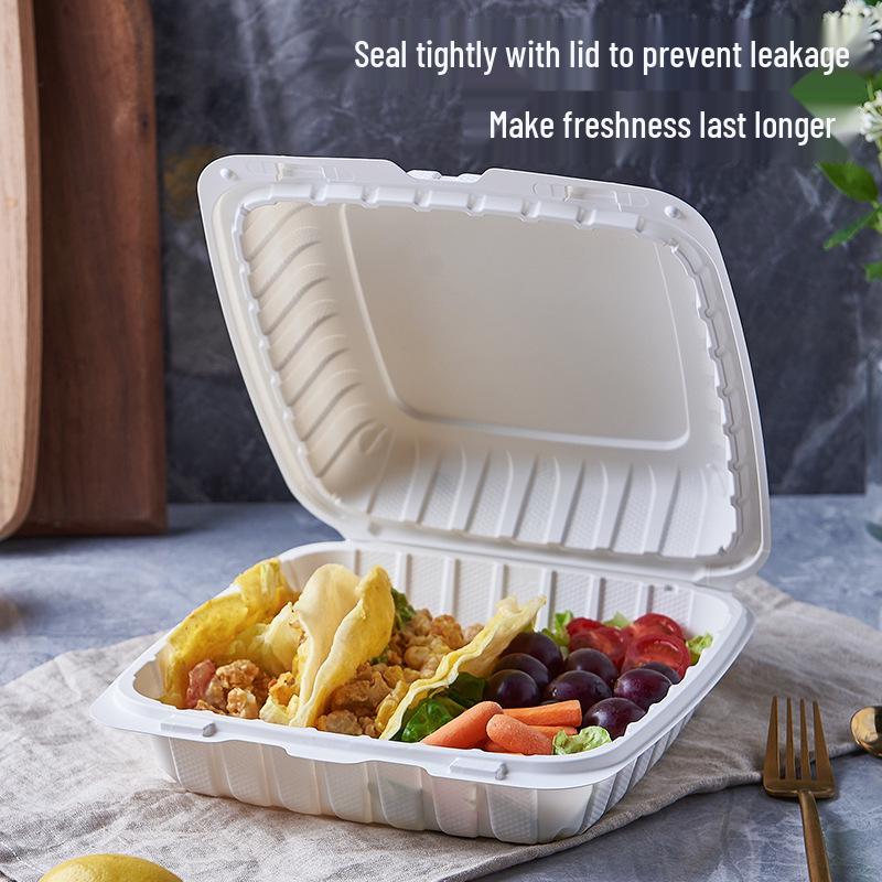 Biodegradable Three-Compartment Bento Box with Hinged Lid