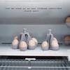 4/6 Holes Egg Cooker Silicone High-Temperature Resistant Egg Cooker Home Boiled Egg Support Bracket Kitchen Steamed Egg Tray