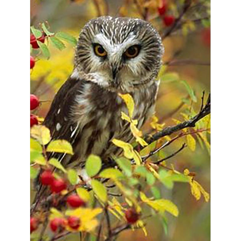 DIY Eagle 5D Diamentowe Malowanie Pełne Okrągłe Wiercenie Diamentowe Haftowanie Krzyżykowy Zestaw Do Rzemiosła Zwierzęce Kryształki Ręcznie Robione Sztuka Prezent