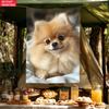 Cute Pomeranian Dog Pet Tapestry Wall Art Animal Lover Decor Fluffy Dog Portrait Bedroom Living Room Hanging Tapestry