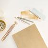Breo Golden Eye Beauty Bar CN Plug (adapter Included)