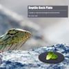 4 Pcs Reptile Basking Platform Tortoise Rock Plate Slate Reptile Basking Platform Feeding Dish Natural Rock Bathing Resting Plat