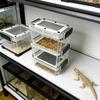 Reptile – Terarii pentru reptile
