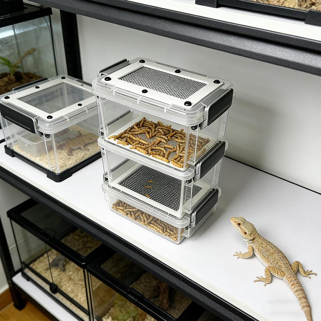 Reptilien Futterbox Transparente Acryl Mehlwurm Futterbox für Eidechsen Chamäleons Mehlwürmer Grillen Dubia Kakerlaken