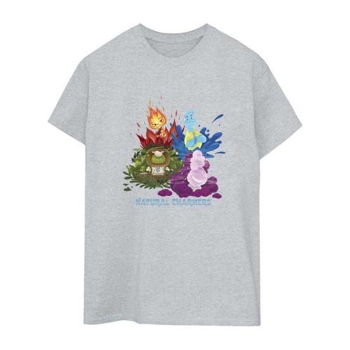 Elemental Womens/Ladies Natural Charmers Boyfriend T-Shirt