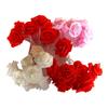 LED Rose String Lights for Valentine's Day, Weddings, and Proposals – Romantic Fairy Lights Decoration