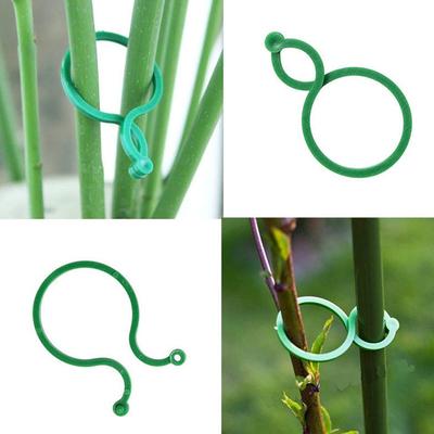 100 piezas de pinzas para sujetar vides de jardín, hebillas para plantas, soporte de anillo para tomates