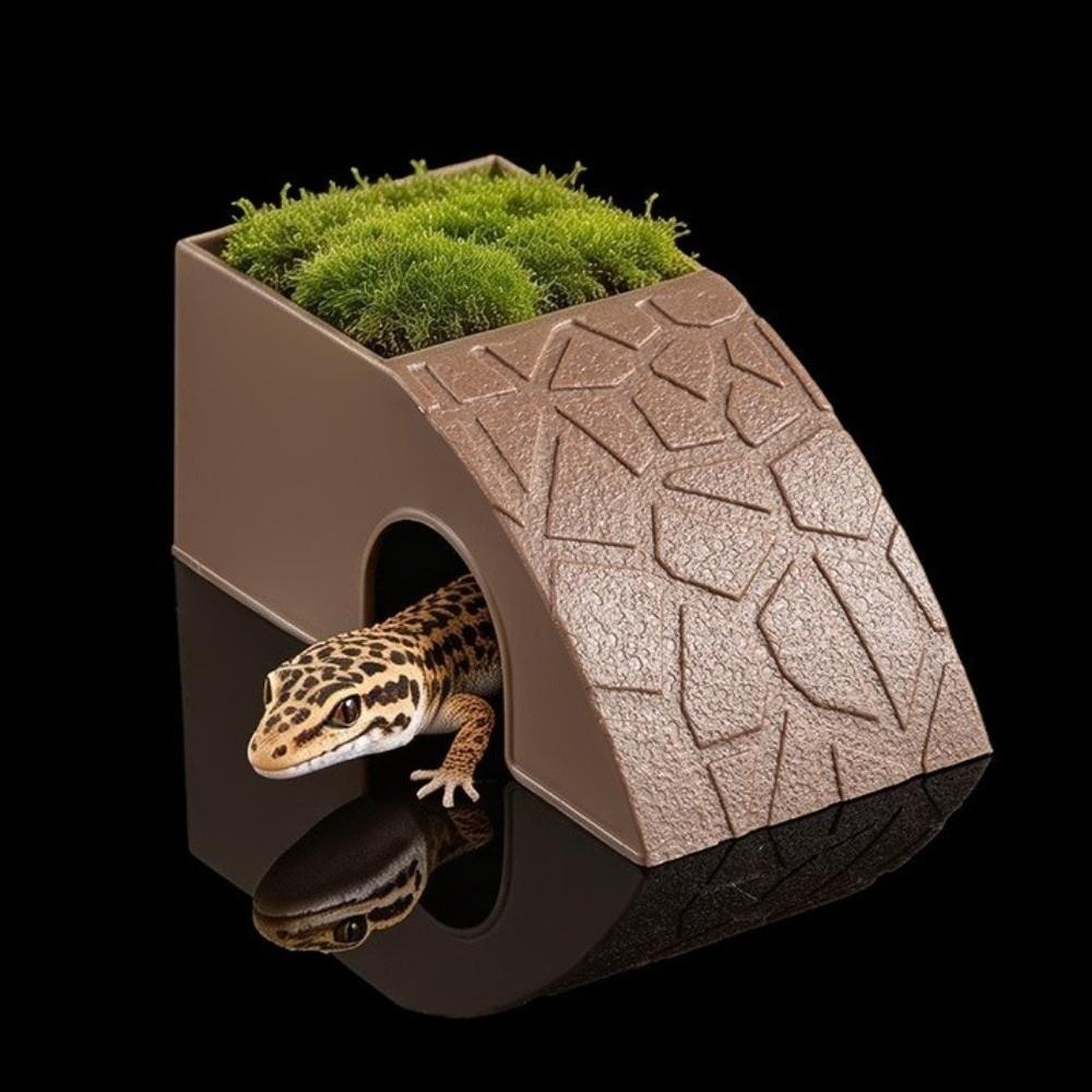 Anti Drowning Reptile Feeding Box With Moss Tray Water Dispenser Pet Breeding