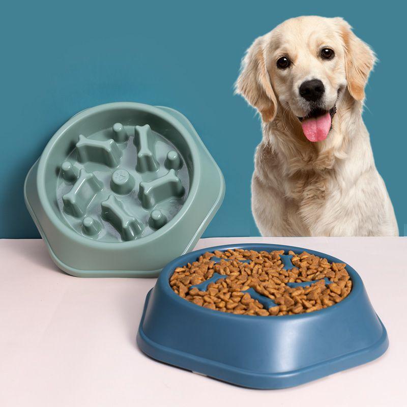 Vibrant Anti-spill Pet Feeding Bowl Slow Feeder Design For Dogs And Cats Multiple Colors Available
