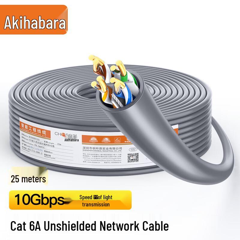 Choseal Cat6A 10 Gigabit Ethernet Cable