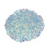 2022 Autumn&Winter Gorgeous Nail Accessories Sequins Bulk Glitter Powder Nail Stickers