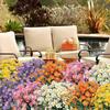 30cm Artificial Flower Daisy Anti-UV Non-fading Plastic Plant Home Decoration Window Outdoor Plastic Flower Wedding Decorations