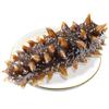 Cetriolo di mare pronto da mangiare Canchaowang Dalian
