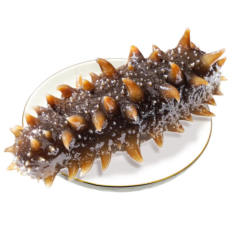 Canchaowang Dalian Ready-to-Eat Sea Cucumber