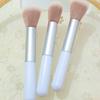 Blush Brush Thick Aluminum Tube Long - Term Use Beauty Tool Fashionable Beauty Tool For Party